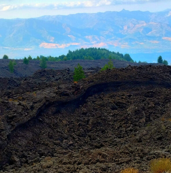 vipère ETNA 2